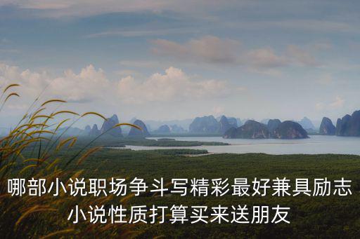 職場勵志小說，勵志小說非青春勵志職場勵志之類的