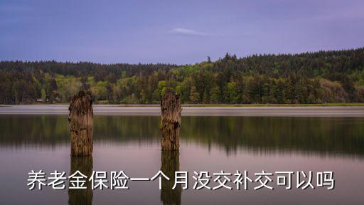 養(yǎng)老金保險(xiǎn)一個(gè)月沒交補(bǔ)交可以嗎