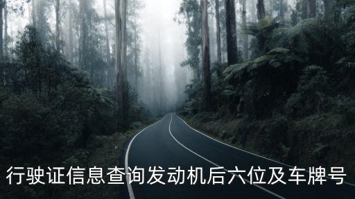 行駛證查詢，行駛證信息查詢發動機后六位及車牌號
