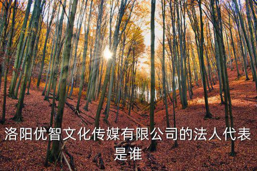 優智，洛陽優智文化傳媒有限公司的法人代表是誰