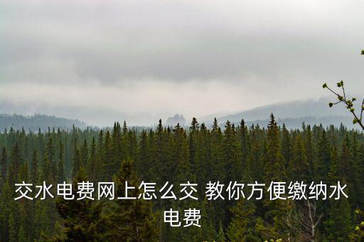 交水電費網上怎么交 教你方便繳納水電費