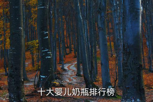 十大嬰兒奶瓶排行榜