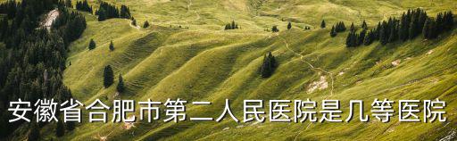 安徽省合肥市第二人民醫(yī)院是幾等醫(yī)院