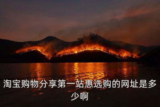 淘寶購物分享第一站惠選購的網址是多少啊