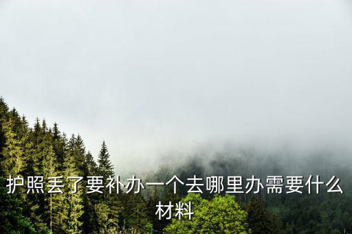 護照丟了要補辦一個去哪里辦需要什么材料