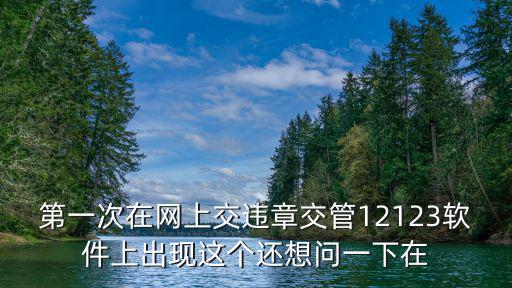 交管12123，第一次在網上交違章交管12123軟件上出現這個還想問一下在
