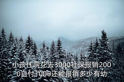 小孩住院花去3000社保報(bào)銷(xiāo)2000自付1000還能報(bào)銷(xiāo)多少有幼