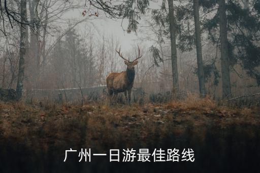廣州一日游最佳路線