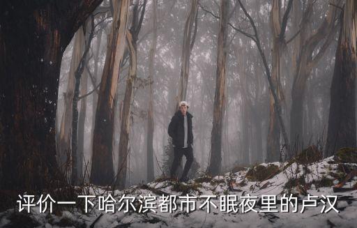 評價一下哈爾濱都市不眠夜里的盧漢