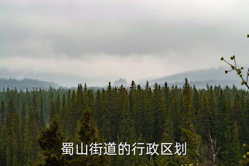 蜀山街道的行政區劃