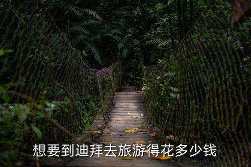 迪拜旅游費用，想要到迪拜去旅游得花多少錢