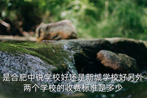 是合肥中銳學校好還是新城學校好另外兩個學校的收費標準是多少
