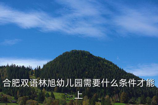 合肥雙語林旭幼兒園需要什么條件才能上