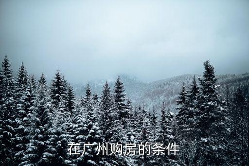 在廣州購房的條件
