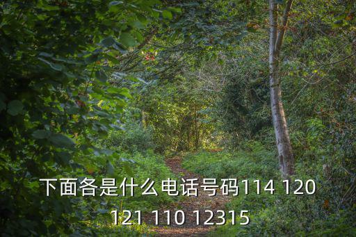 電話號碼大全，什么地方的電話電話號碼有15個