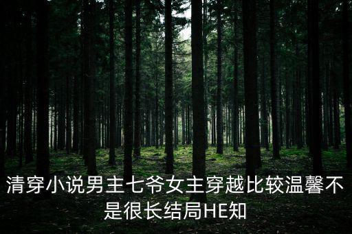 清穿小說男主七爺女主穿越比較溫馨不是很長結局HE知
