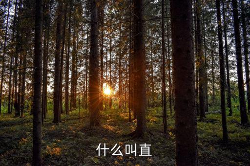 什么叫直
