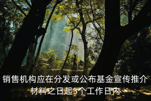 銷售機(jī)構(gòu)應(yīng)在分發(fā)或公布基金宣傳推介材料之日起5個(gè)工作日內(nèi)