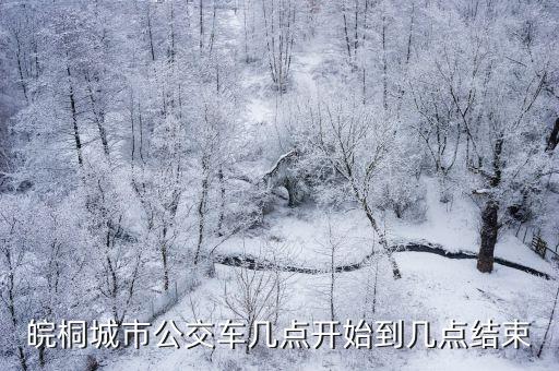 桐城公交，合肥市桐城路上的公交車