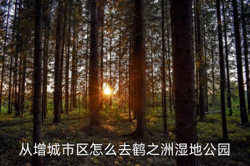 鶴之洲濕地公園，從增城市區怎么去鶴之洲濕地公園