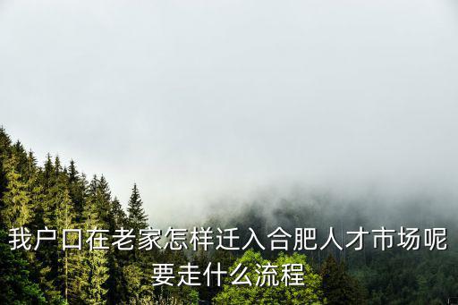 合肥人才引進，我戶口在老家怎樣遷入合肥人才市場呢要走什么流程