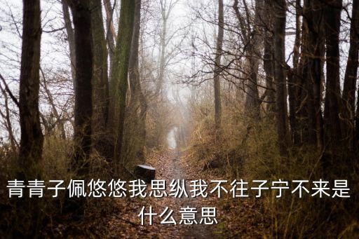 青青子佩悠悠我思縱我不往子寧不來是什么意思