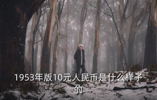 1953年版10元人民幣是什么樣子的