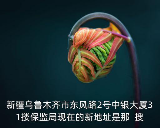 新疆烏魯木齊市東風路2號中銀大廈31摟保監局現在的新地址是那  搜