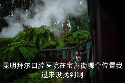 昆明拜爾口腔醫(yī)院在寶善街哪個位置我過來沒找到啊