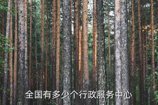 全國有多少個(gè)行政服務(wù)中心