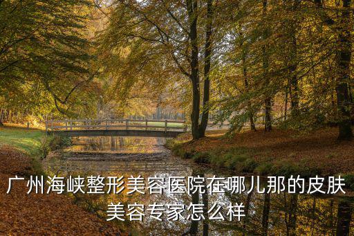 廣州海峽整形美容醫(yī)院在哪兒那的皮膚美容專家怎么樣