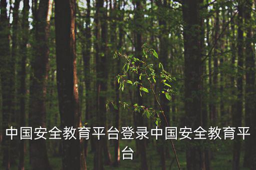 中國安全教育平臺登錄中國安全教育平臺