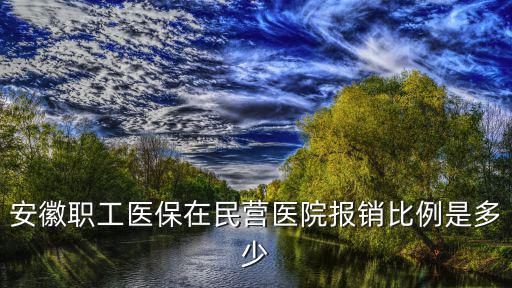 安徽職工醫保在民營醫院報銷比例是多少