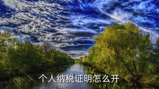 個(gè)人納稅證明怎么開(kāi)