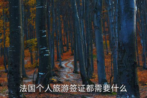 法國個人旅游簽證都需要什么