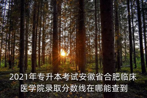 合肥學院錄取查詢，合肥經濟學院錄取通知書什么時候到