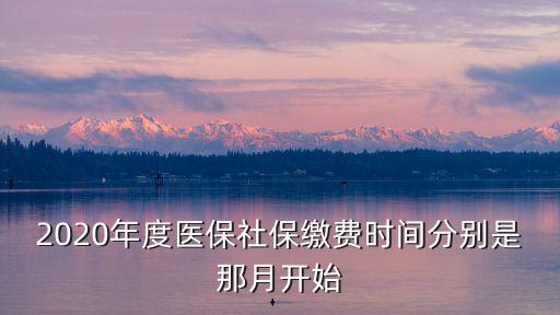 醫(yī)保繳費(fèi)時(shí)間，2020年度醫(yī)保社保繳費(fèi)時(shí)間分別是那月開始