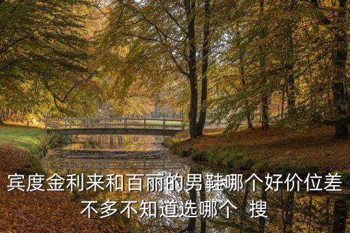 百麗男鞋，賓度金利來和百麗的男鞋哪個好價位差不多不知道選哪個  搜