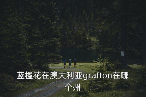 藍(lán)楹花在澳大利亞grafton在哪個(gè)州