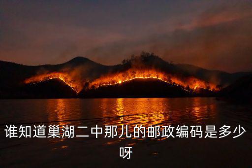 巢湖市第二中學，安徽省巢湖市二中中考的分數線