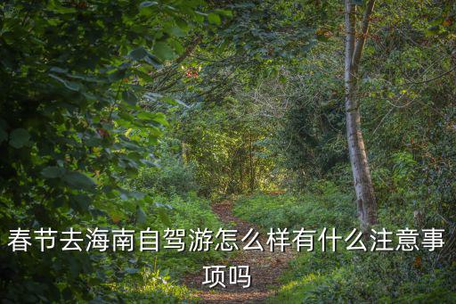 春節去海南自駕游怎么樣有什么注意事項嗎