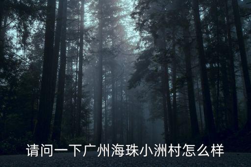 請問一下廣州海珠小洲村怎么樣