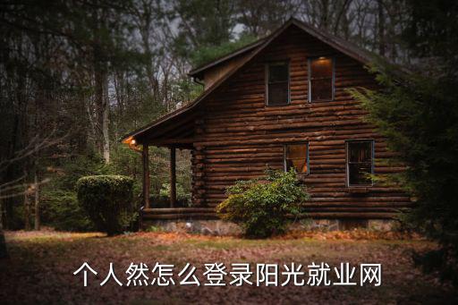 個人然怎么登錄陽光就業網