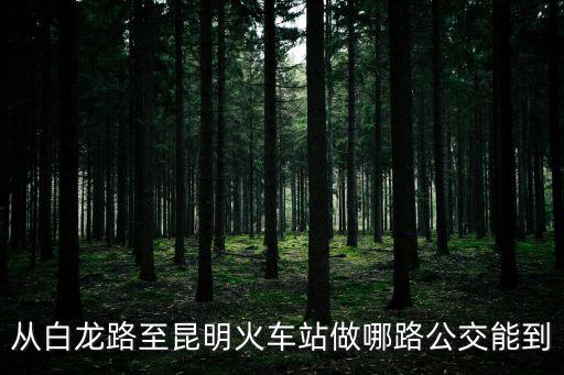 白龍路，昆明市白龍路環(huán)城東路交匯處益龍萬象城怎么走