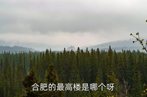 合肥的最高樓是哪個呀