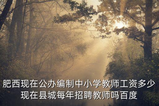 肥西現在公辦編制中小學教師工資多少現在縣城每年招聘教師嗎百度