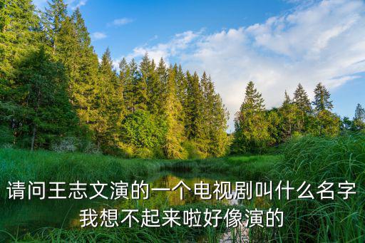 請(qǐng)問(wèn)王志文演的一個(gè)電視劇叫什么名字我想不起來(lái)啦好像演的