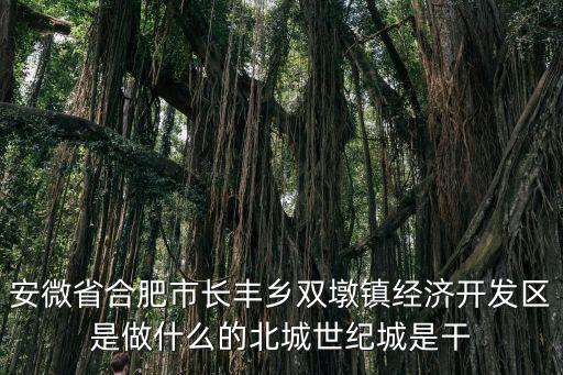 合肥北城世紀城，北域世紀城屬合肥市那個區