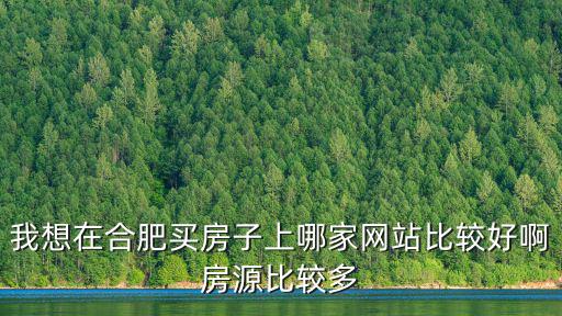 合肥購房網，想在合肥買房有哪些好的靠譜的網站可以推薦看房
