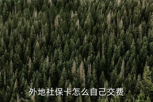 外地社保卡怎么自己交費(fèi)
